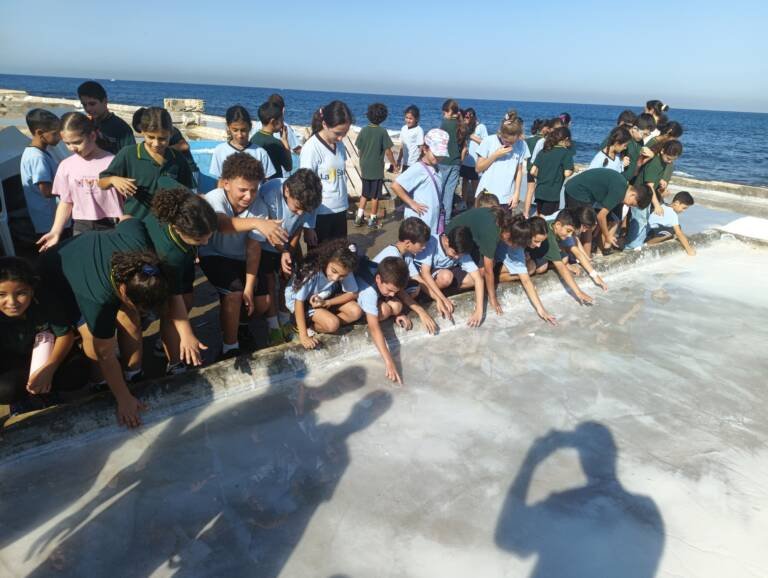 IMG_20251003_092419_892