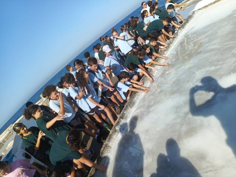 IMG_20251003_092421_676