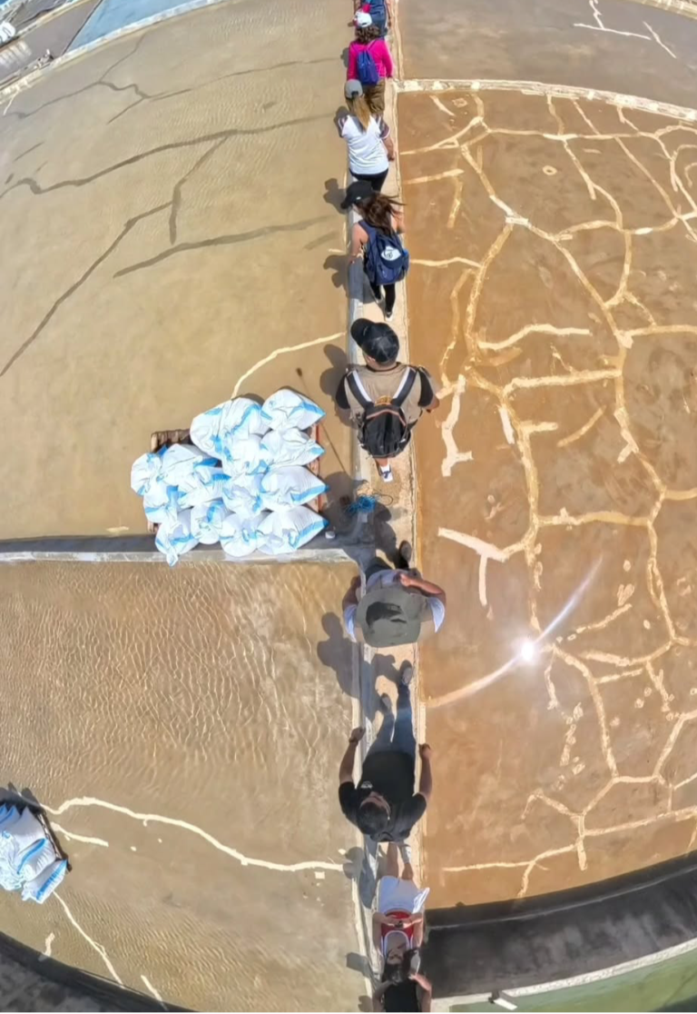 Screenshot_20250531-203753